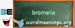WordMeaning blackboard for bromelia